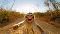 Cheerful monkey selfie in sunlit forest path captures pure joy and adventure Royalty Free Stock Photo