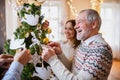 Multi-generation family indoors at home at Christmas, decorating tree.