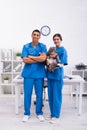 Cheerful multiethnic doctors holding maine coon