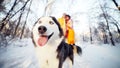 Cheerful muzzle of a dog husky in a winter park, in the background a young couple