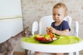 Cheerful naughty baby girl plays with fruit at home, cat sniffs her plate with interest