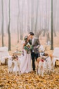 Cheerful newlywed couple is spending time with collis in the beautififul autumn park. Royalty Free Stock Photo