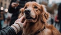 Cheerful owner holds playful puppy, both smiling generated by AI