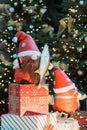 Cheerful pair of Santa Gnomes holding a fishing rod standing beside a Christmas tree