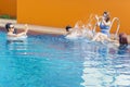 Cheerful people splashing water in swimming pool Royalty Free Stock Photo