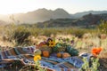 A cheerful picnic scene with a blanket fruits and flowers surrounded by the desert, Generative AI Royalty Free Stock Photo