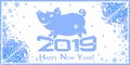 Cheerful pig on the inscription 2019 on a white background with frosty icy patterns