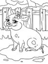 Cheerful Pig Sits In A Puddle And Shows Its Tongue. Farm Background. Children Coloring Book.