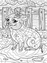 Cheerful pig sits in a puddle and shows its tongue. Farm background. Freehand sketch for adult antistress coloring page