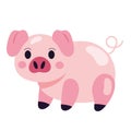 Cheerful pink piglet farm animal