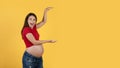 Cheerful Pregnant Woman Holding Invisible Object With Two Hands Royalty Free Stock Photo