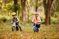 Cheerful preschool kids outdoors on balance bikes Royalty Free Stock Photo