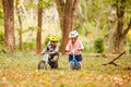 Cheerful preschool kids outdoors on balance bikes Royalty Free Stock Photo