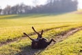 Cheerful Rottweiler somersaults in the meadow under the morning sun