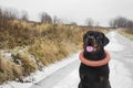 Cheerful Rottweiler on a walk