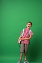 Cheerful schoolboy with glasses, holding book and backpack on green background Royalty Free Stock Photo