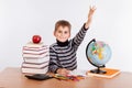 Cheerful Schoolboy ready to answer question Royalty Free Stock Photo