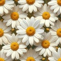 Cheerful Seamless Shasta Daisy Pattern with Foliage Royalty Free Stock Photo
