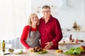 Cheerful senior couple posing, cooking turkey for Christmas or Thanksgiving dinner, preparing holiday meal in kitchen Royalty Free Stock Photo