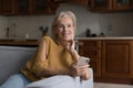 Cheerful senior lady holding mobile phone, resting on couch Royalty Free Stock Photo