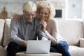 Cheerful senior old couple using online app on laptop computer Royalty Free Stock Photo