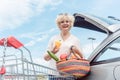 Cheerful senior woman holding a basket full of fresh vegetables Royalty Free Stock Photo