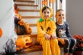 Cheerful siblings ready for halloween trick or treat Royalty Free Stock Photo