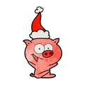 cheerful sitting pig textured cartoon of a wearing santa hat