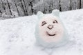 Cheerful smiling face sculpted out of snow.