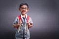 Cheerful smiling little boy with big backpack. Looking at camera. School concept. Back to School Royalty Free Stock Photo