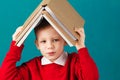 Cheerful smiling little school boy with big books on his head ha Royalty Free Stock Photo