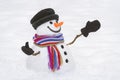 Cheerful snowman with a kind smile