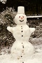 Cheerful snowman standing in the garden