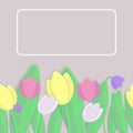 Vector seamless pattern. Multicolored tulips and leaves