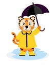 A cheerful striped tiger in a yellow raincoat in boots with an umbrella, the symbol of 2022. Vector illustration isolated on a