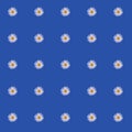 Cheerful summer seamless pattern of daisies on a blue background