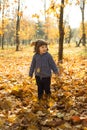 Cheerful toddler boy in autumn park Royalty Free Stock Photo