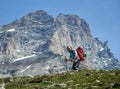 Cheerful traveler hiking in mountains. Royalty Free Stock Photo