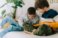 Cheerful two Childs boys playing online game, watching video on cellphone. Smiling kids using funny mobile apps Royalty Free Stock Photo