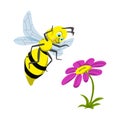 A cheerful wasp is happy to find a flower. Illustration in cartoon style