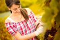 Cheerful woman harvesting grapes Royalty Free Stock Photo