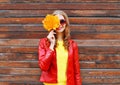 Cheerful woman hides half face autumn yellow maple leafs wearing a red leather jacket over wooden