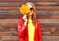 Cheerful woman hides half face autumn yellow maple leaves Royalty Free Stock Photo
