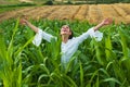 Cheerful woman posing in the corn crop, agriculture and cultivation concept. American woman in a white dress harvests Royalty Free Stock Photo