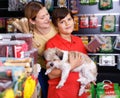 Cheerful woman with preteen son buying dog treats and chews in store to reward their precious pup Royalty Free Stock Photo