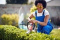 Cheerful young african american woman using electrinc trimmers for cutting hedge outdoors in the yard, working in the garden Royalty Free Stock Photo