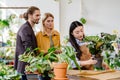 Cheerful young Asian saleswoman is serves the customers, packs the plant in flower shop. Standing at the entrance is Royalty Free Stock Photo