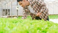 Cheerful young attractive Asia guy farmer checking research quality of green oak from hydroponics vegetable farm in greenhouse