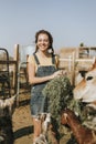 Cheerful young girl feeding goats and a cow Royalty Free Stock Photo