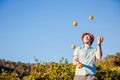 Cheerful young man juggling oranges on citrus farm Royalty Free Stock Photo